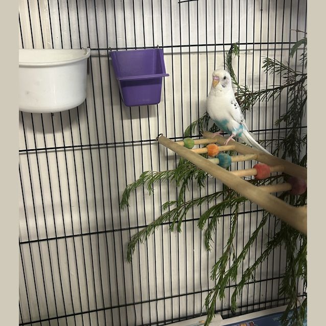 Photo of Zeff