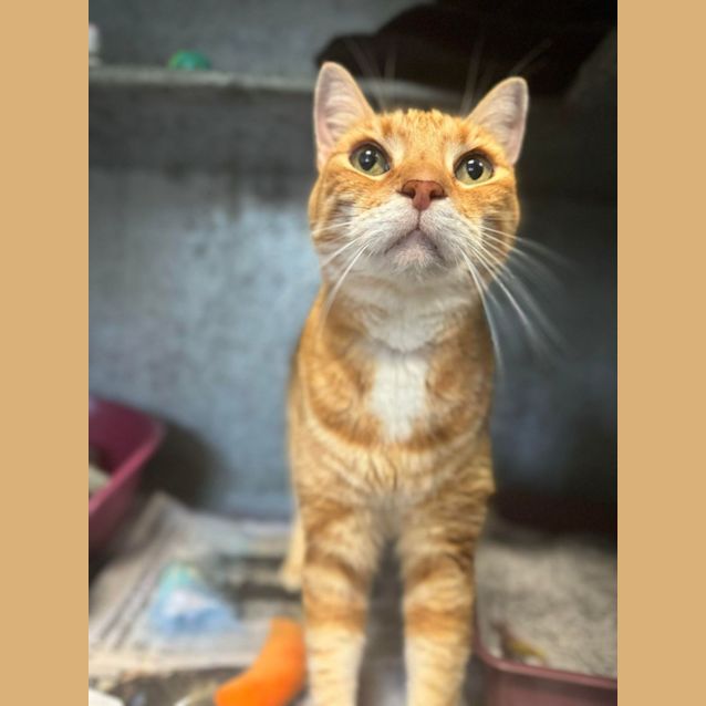 Photo of Ottis