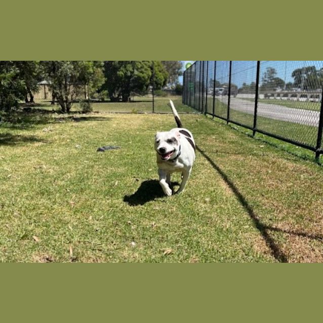 Photo of Peppa