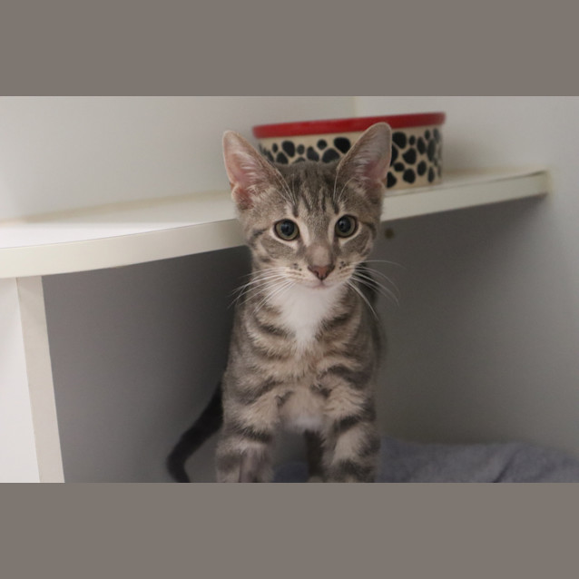Photo of Lloyd 