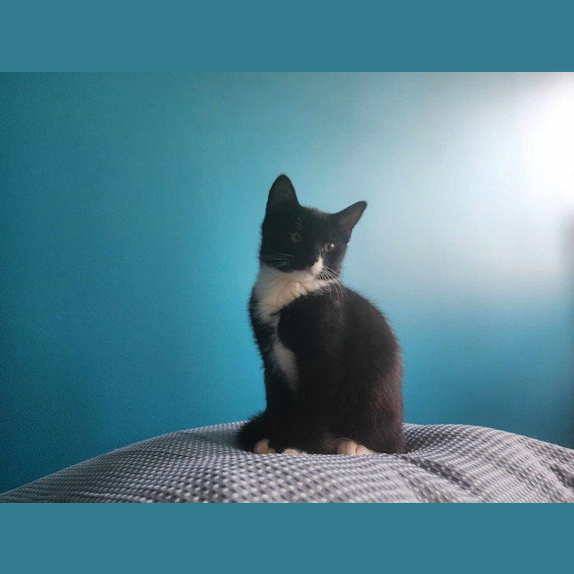 Photo of Myika   Located In Melbourne