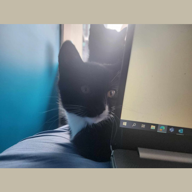 Photo of Myika   Located In Melbourne