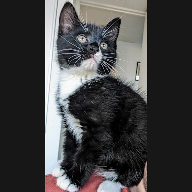 Photo of Myika   Located In Melbourne