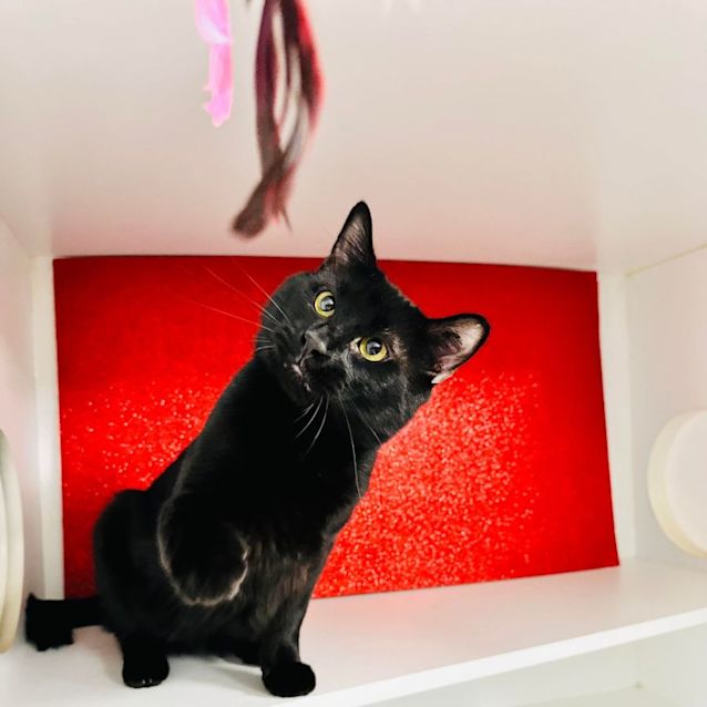 Photo of Jackson   Located In Preston