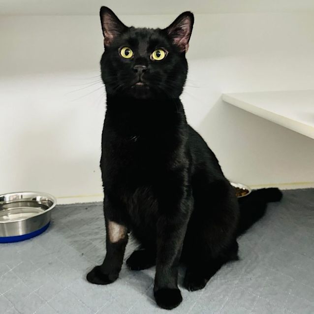 Photo of Jackson   Located In Preston