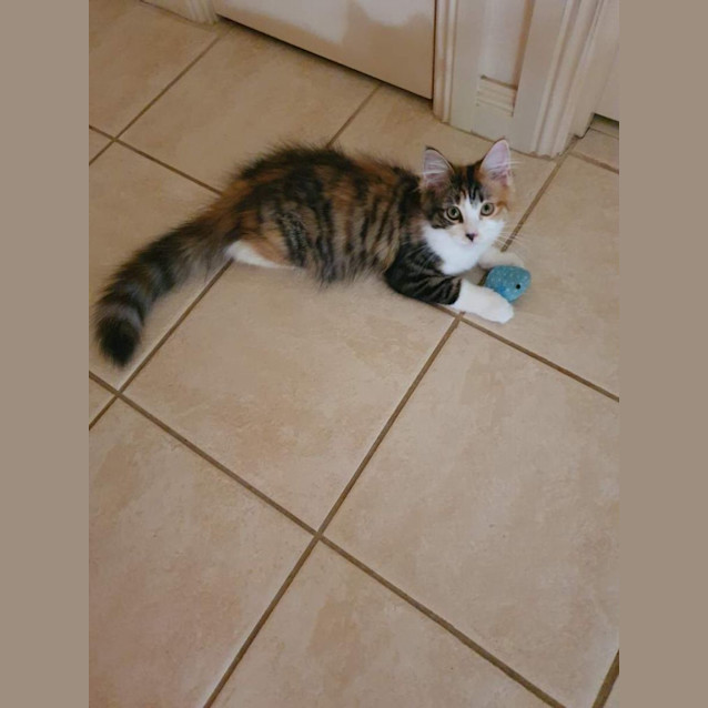 Photo of Lizzie & Lulu