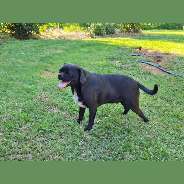 Photo of Fergus Dubois