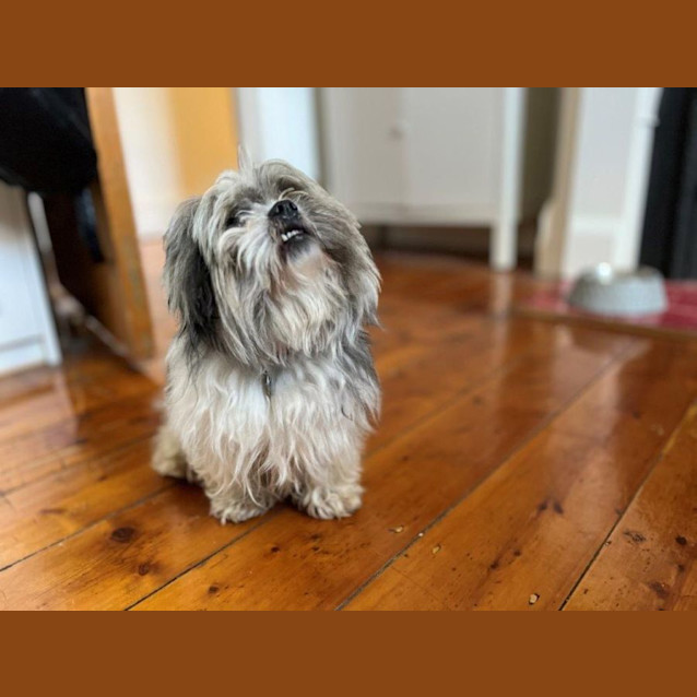 Photo of Renee Dubois