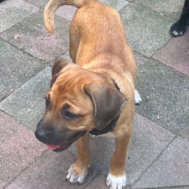 Photo of Willow 🌷