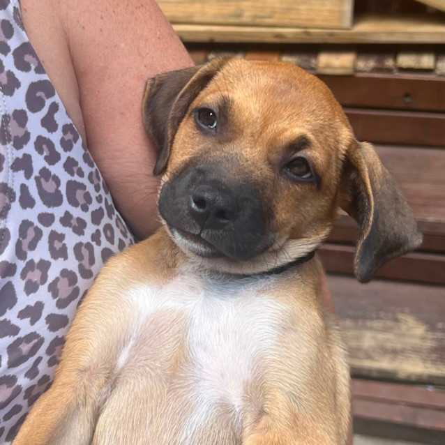 Photo of Willow 🌷