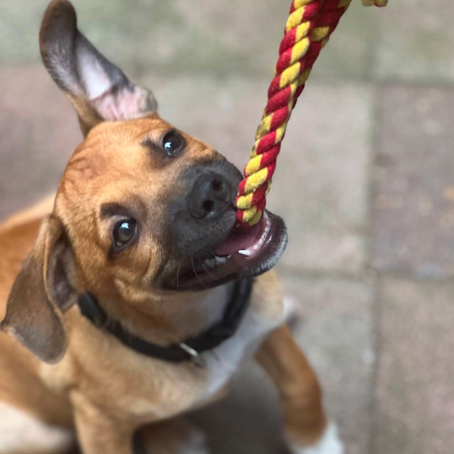 Photo of Willow 🌷