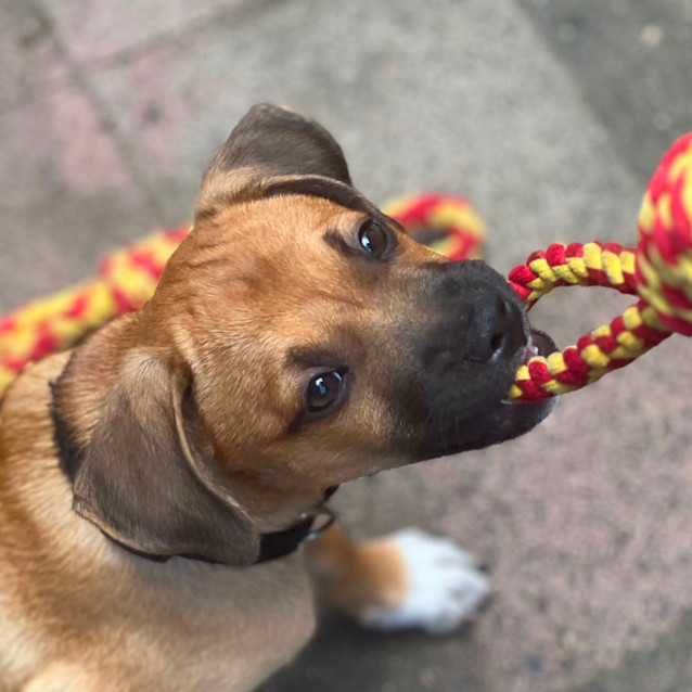 Photo of Willow 🌷