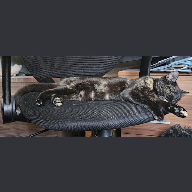Photo of Penny