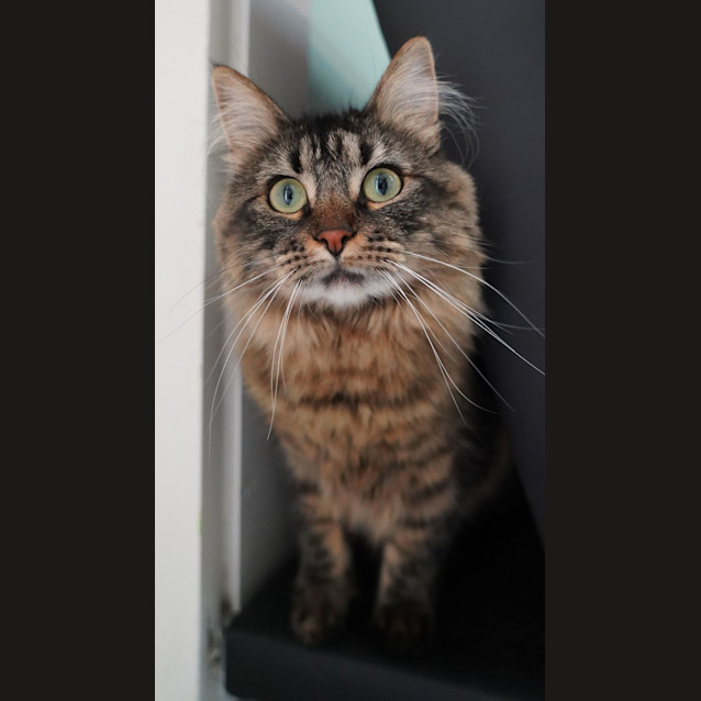 Photo of Zoe