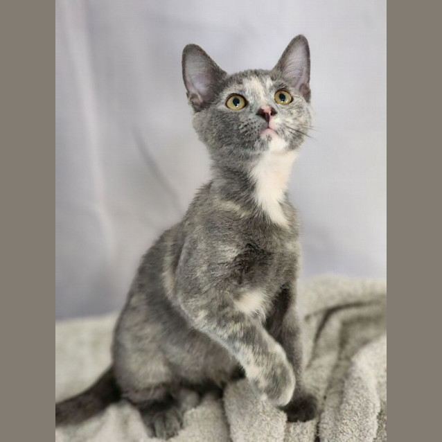 Photo of Yvette And Vivian