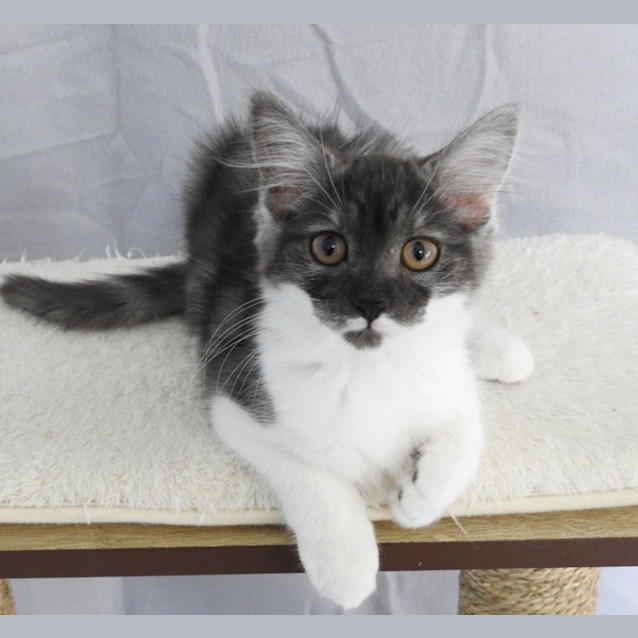 Photo of Yvette And Vivian