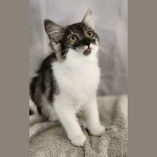 Photo of Yvette And Vivian