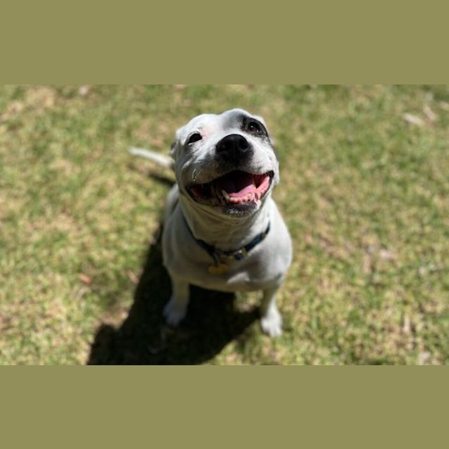 Photo of Peppa
