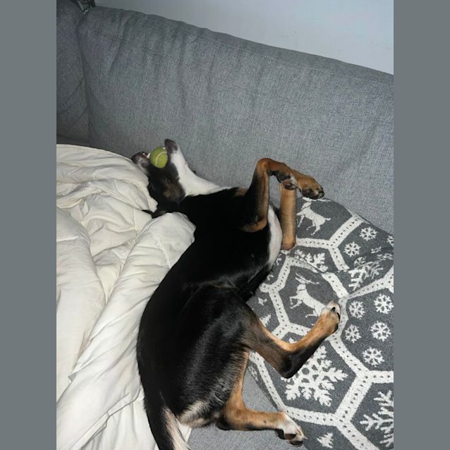 Photo of Maggie