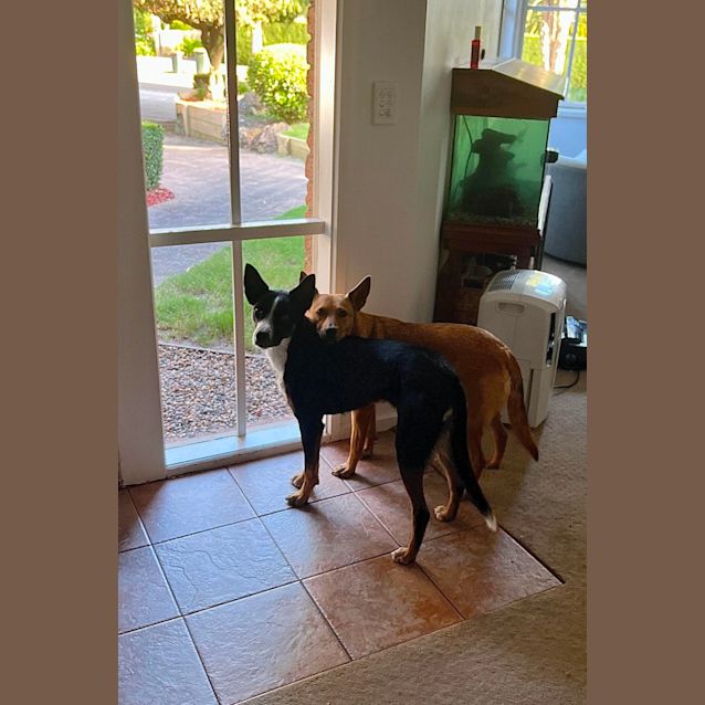 Photo of Maggie