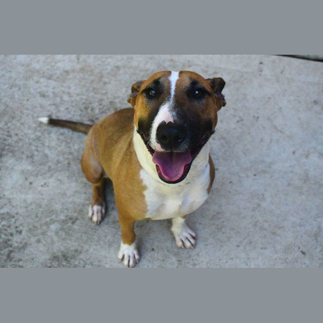 Photo of Kodah