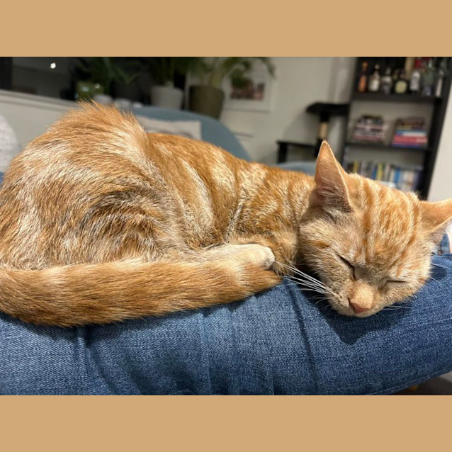 Photo of Capri (And Prosecco)