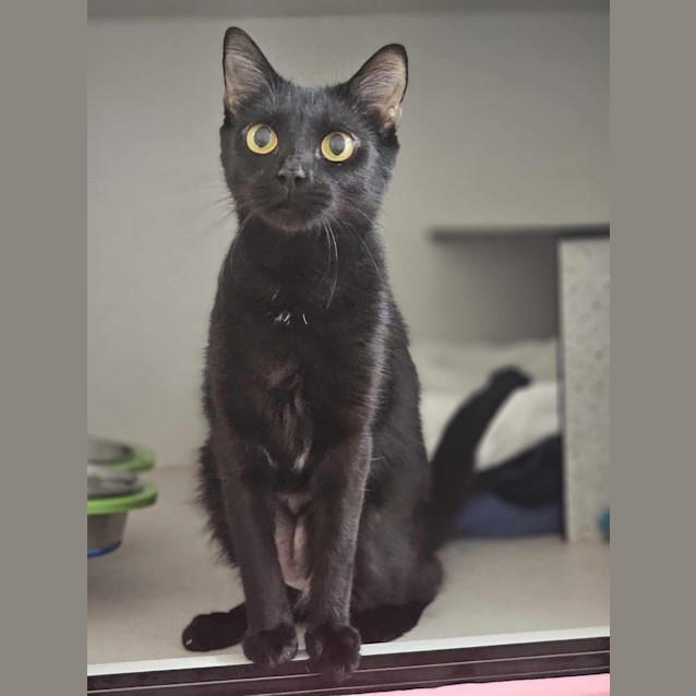 Photo of Milo