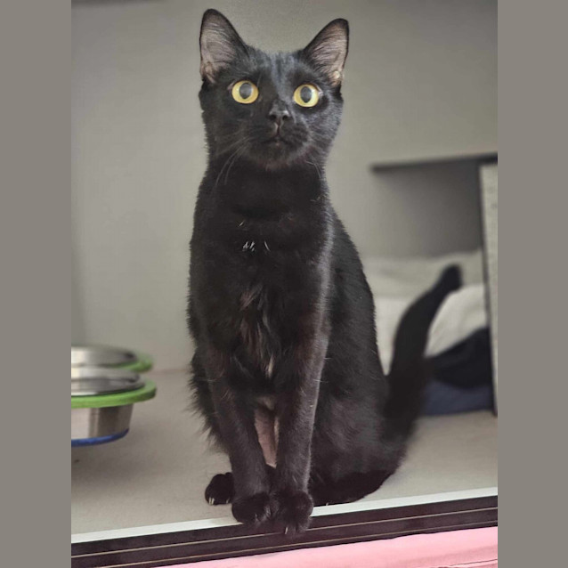 Photo of Milo