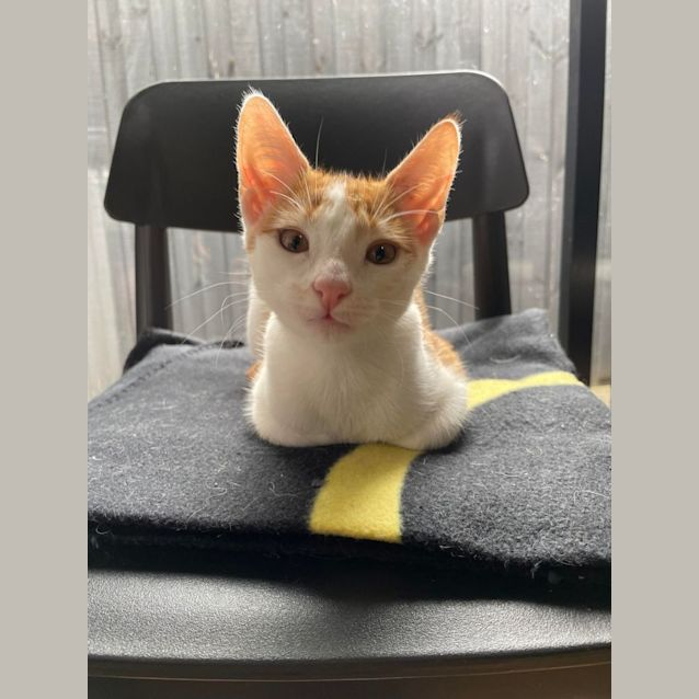 Photo of River   Located In Preston