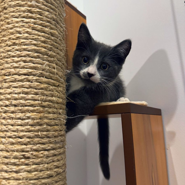 Photo of Timothy   Located In Northcote