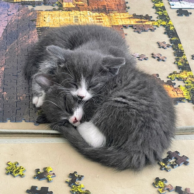 Photo of Timothy   Located In Northcote