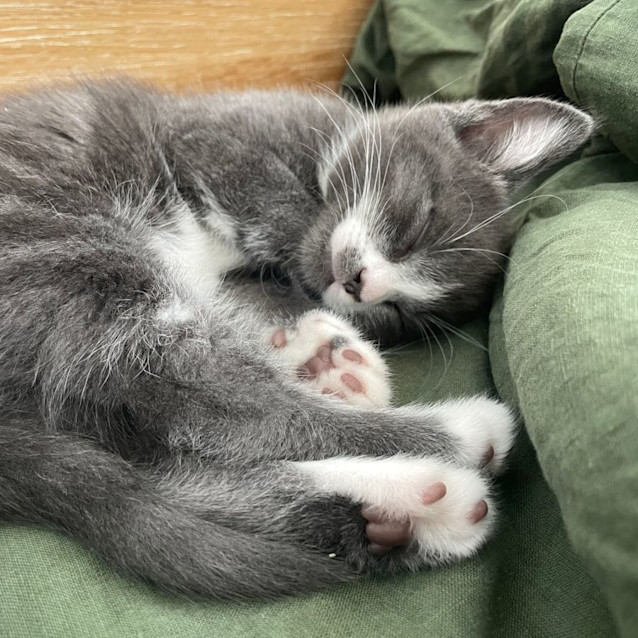 Photo of Timothy   Located In Northcote