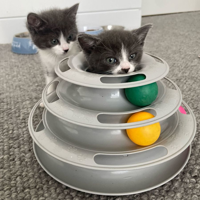 Photo of Timothy   Located In Northcote