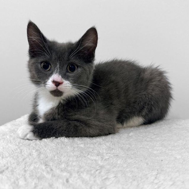 Photo of Gwen   Located In Northcote