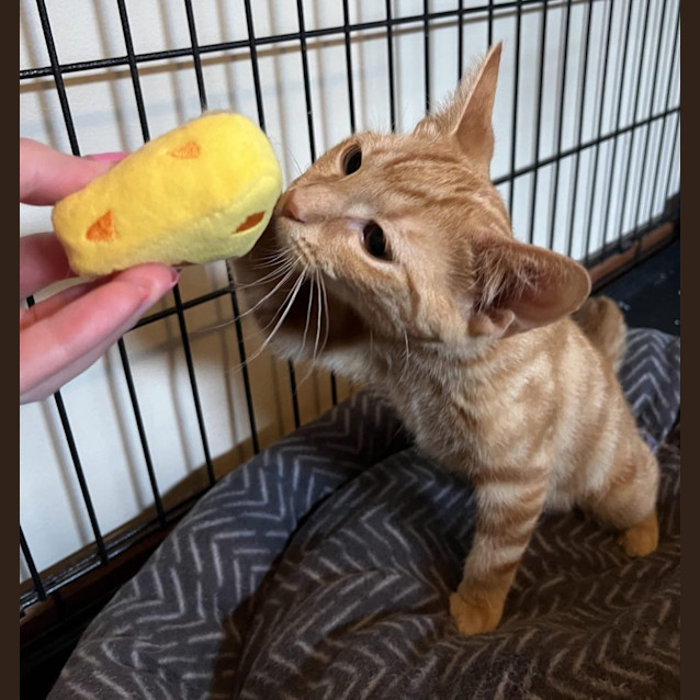 Photo of Thomas O’malley