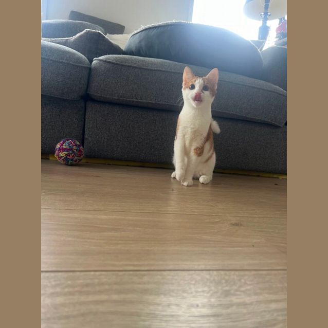 Photo of Hershey