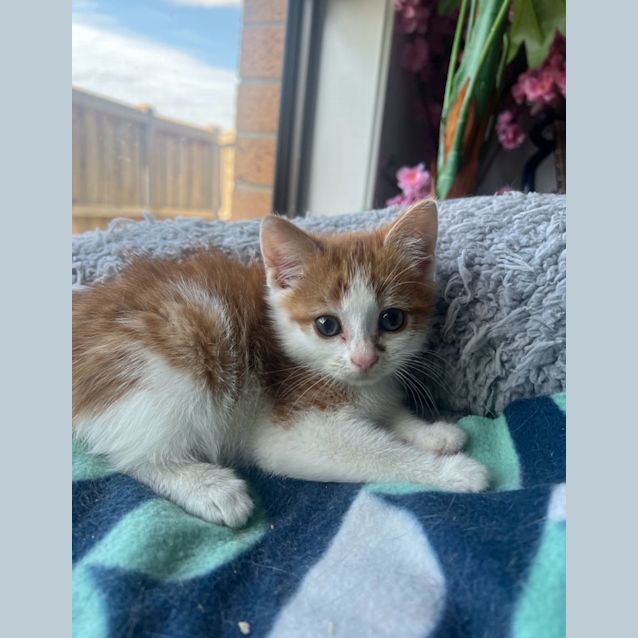 Photo of Hershey