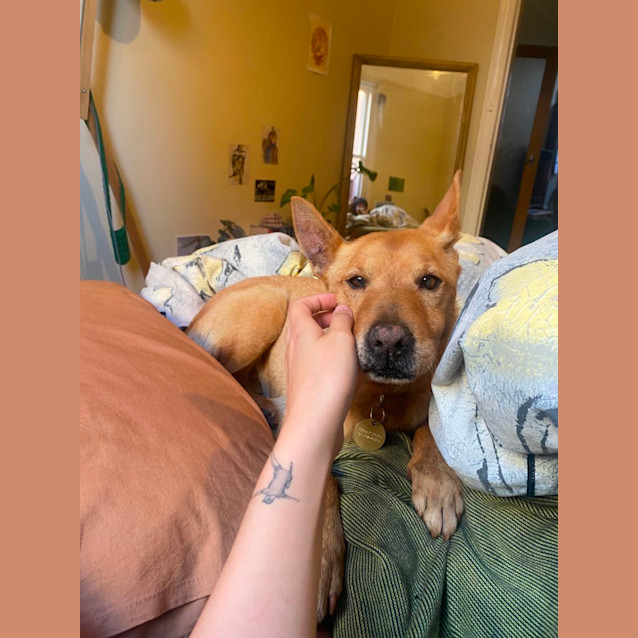Photo of Kio