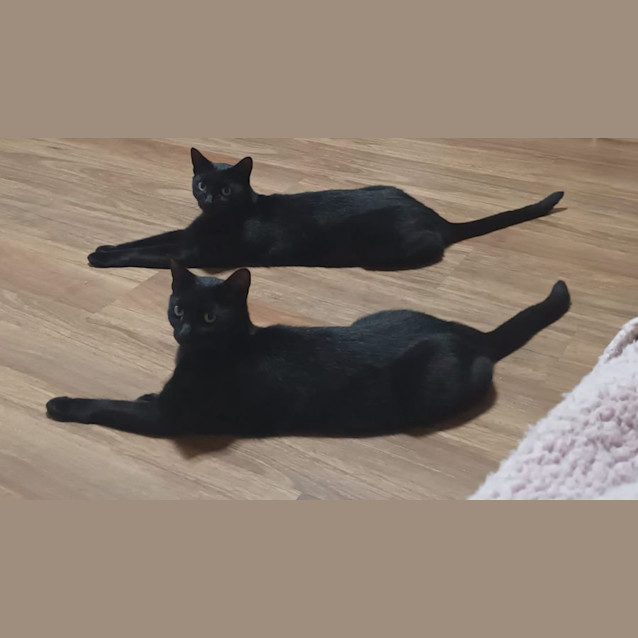 Photo of Lily & Phoebe 🌸🌸