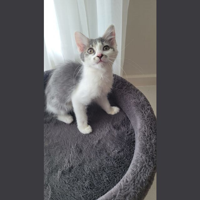 Photo of Pumpkin