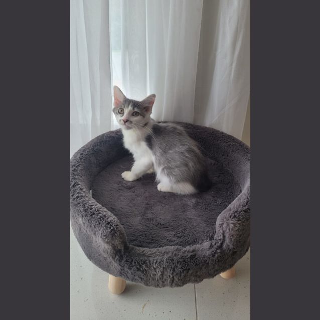 Photo of Pumpkin