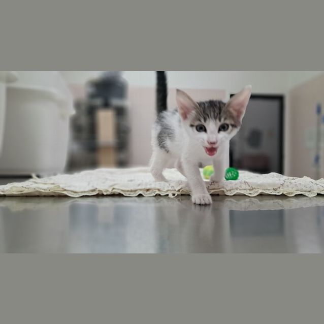 Photo of Alex (0065)