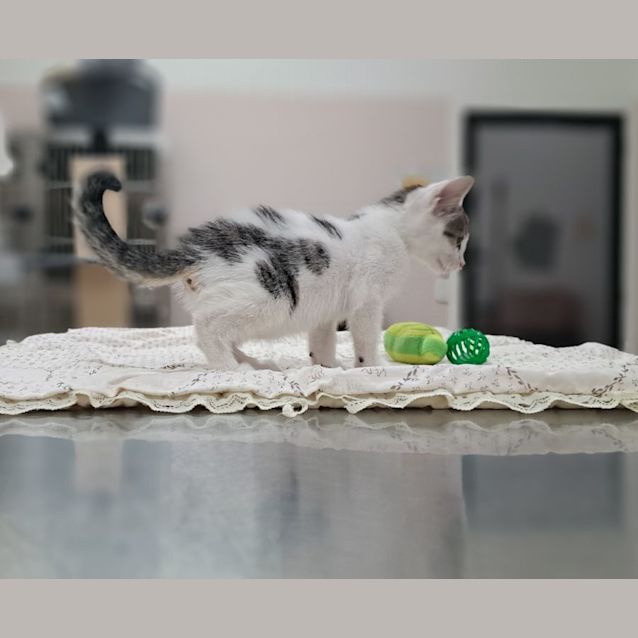 Photo of Alex (0065)