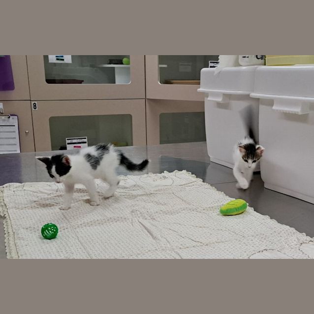 Photo of Alex (0065)