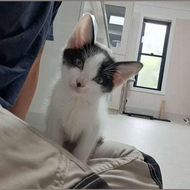 Photo of Dylan (0061)