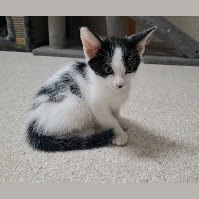 Photo of Dylan (0061)