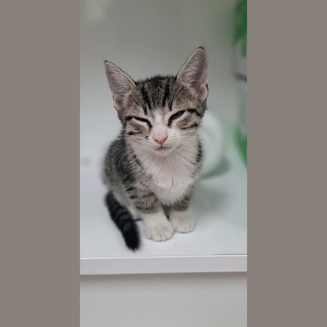 Photo of Natalie (0059)