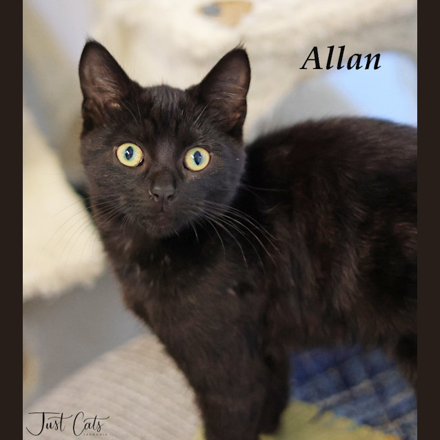 Photo of Allan