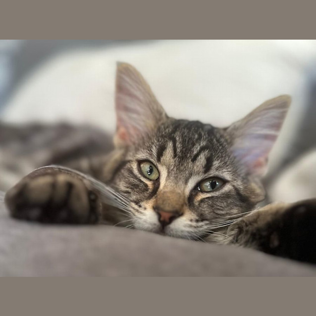 Photo of Mackenzie (Aka Kennie)