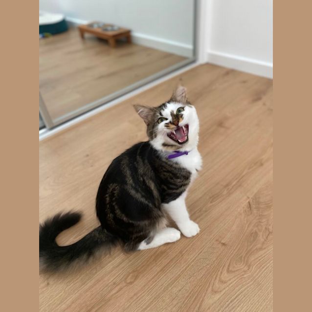 Photo of Angela Maree Butler